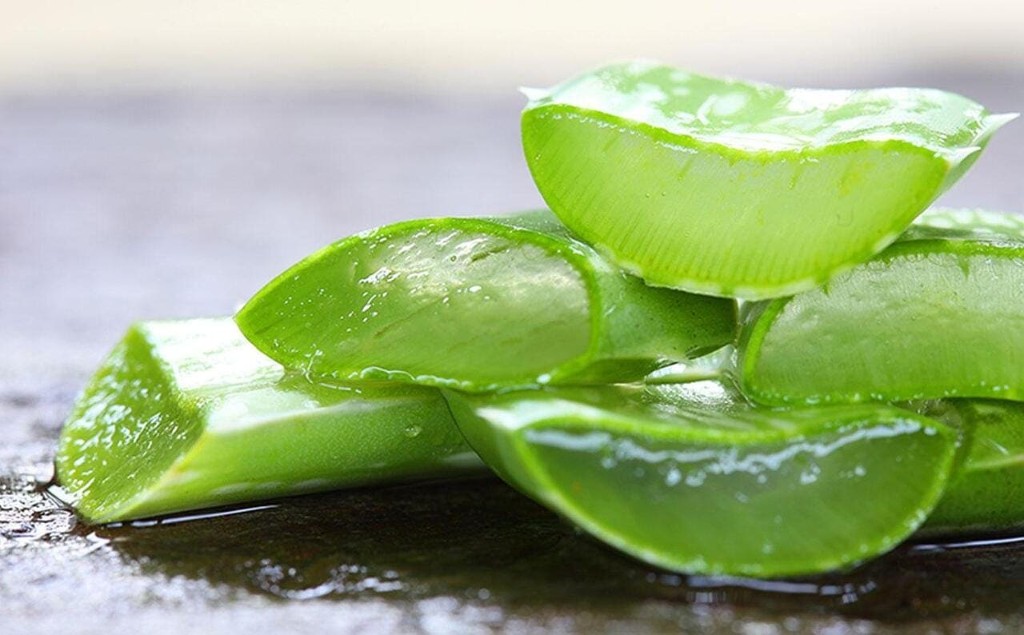 Aloe
